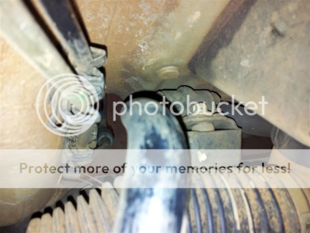 20120604_161638Medium.jpg