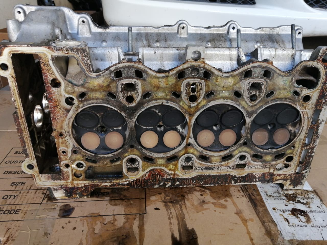 img-20190917-wa0013_9658702140.jpg