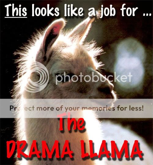 Dramallama01.jpg