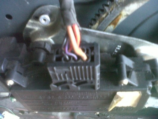 plug_5233545359.jpg