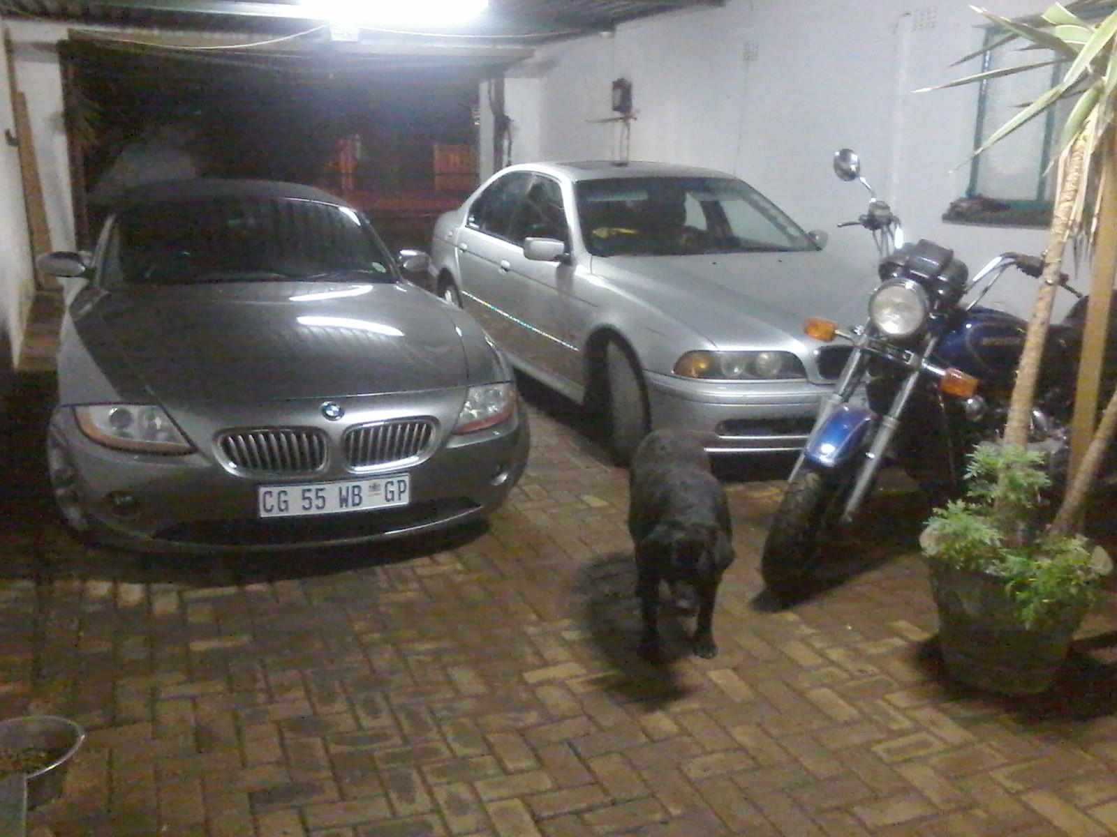z4 2_8031840706.jpg