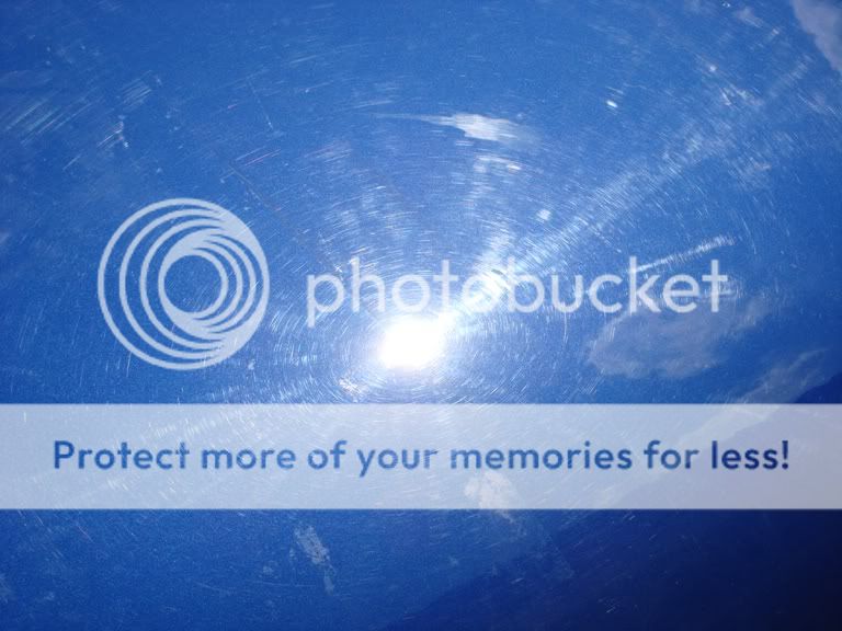DSC06913.jpg