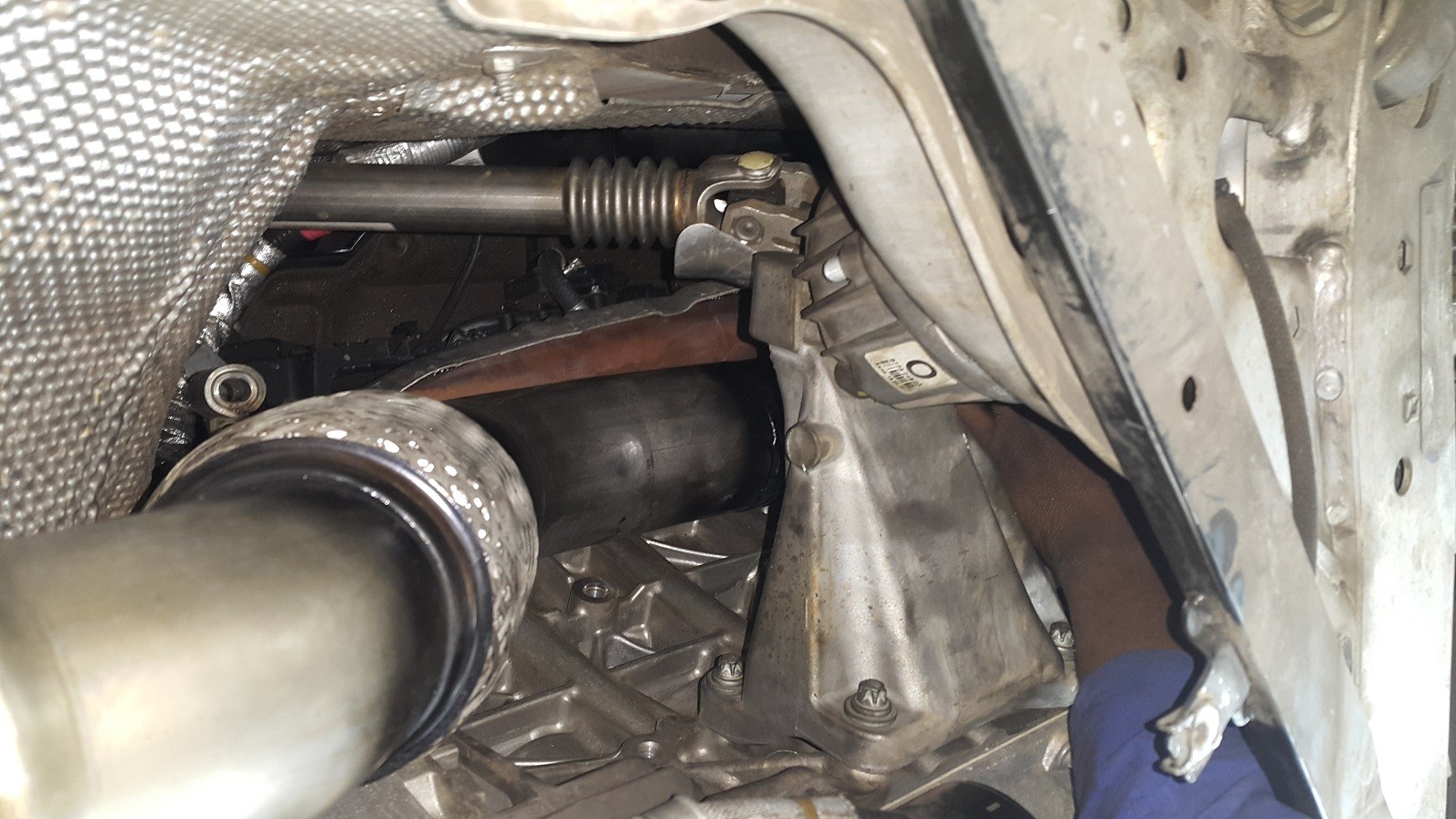 dp in place_584763679.jpg