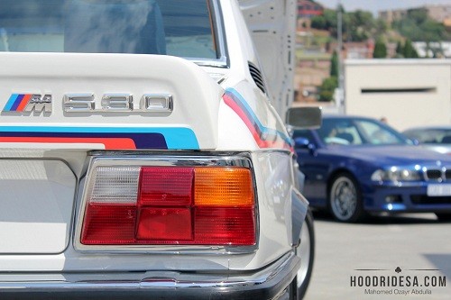 rear small_3909261915.jpg