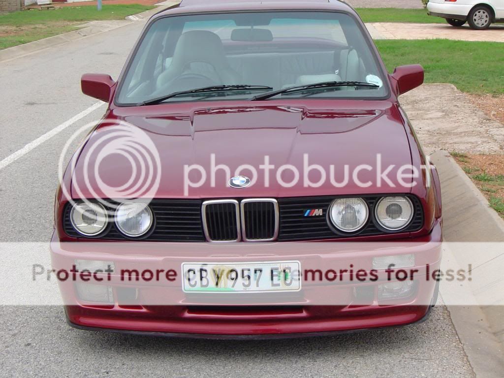 DSC05447.jpg