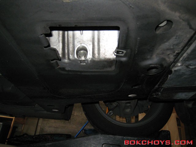 oil_10_5592385218.jpg