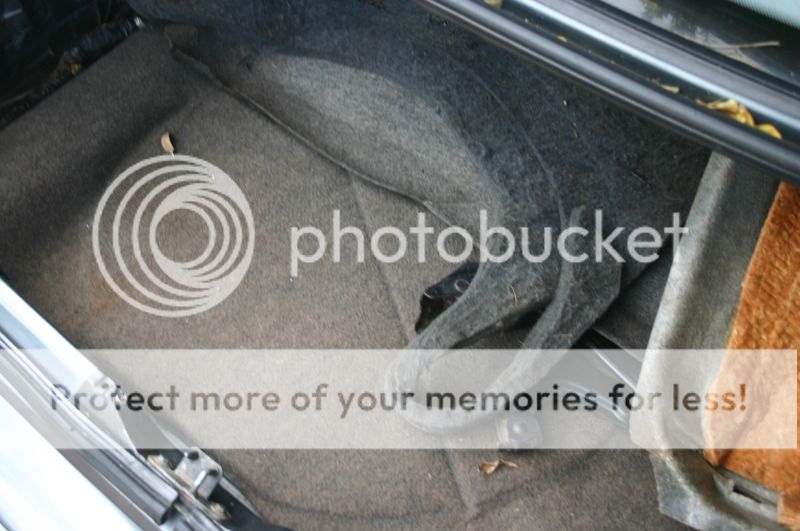 M5e34010.jpg