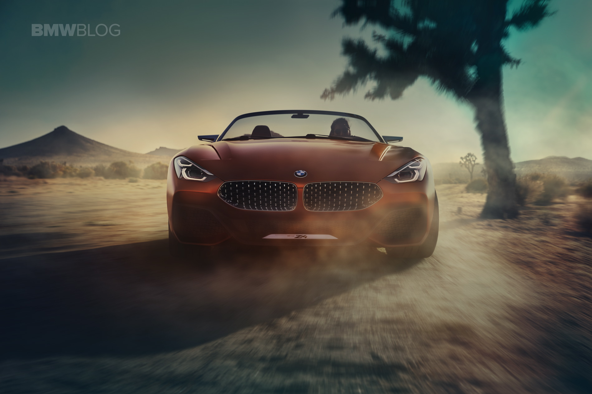 BMW-Z4-Concept-11.jpg