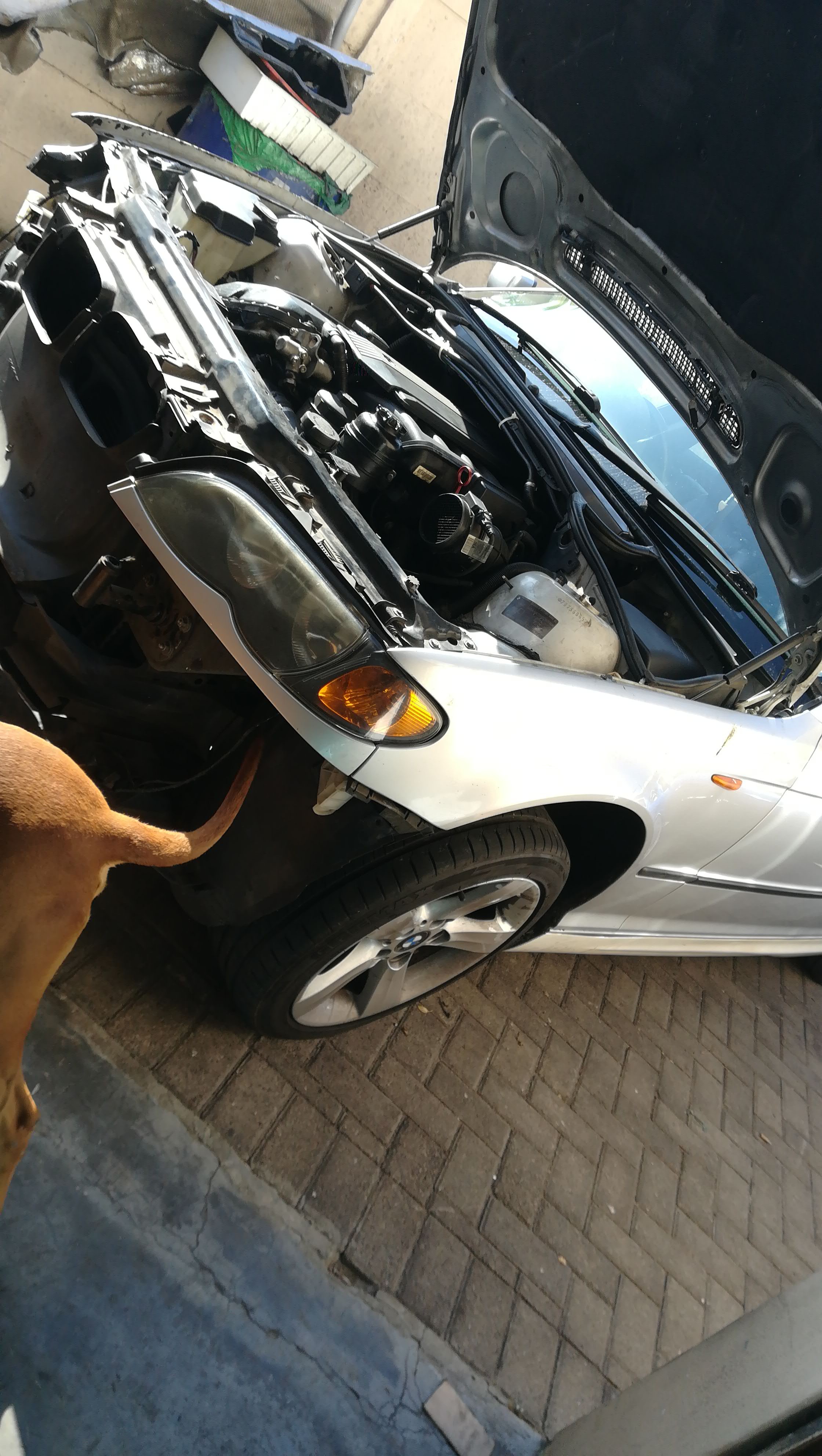 img-20190501-wa0002_1614393033.jpeg