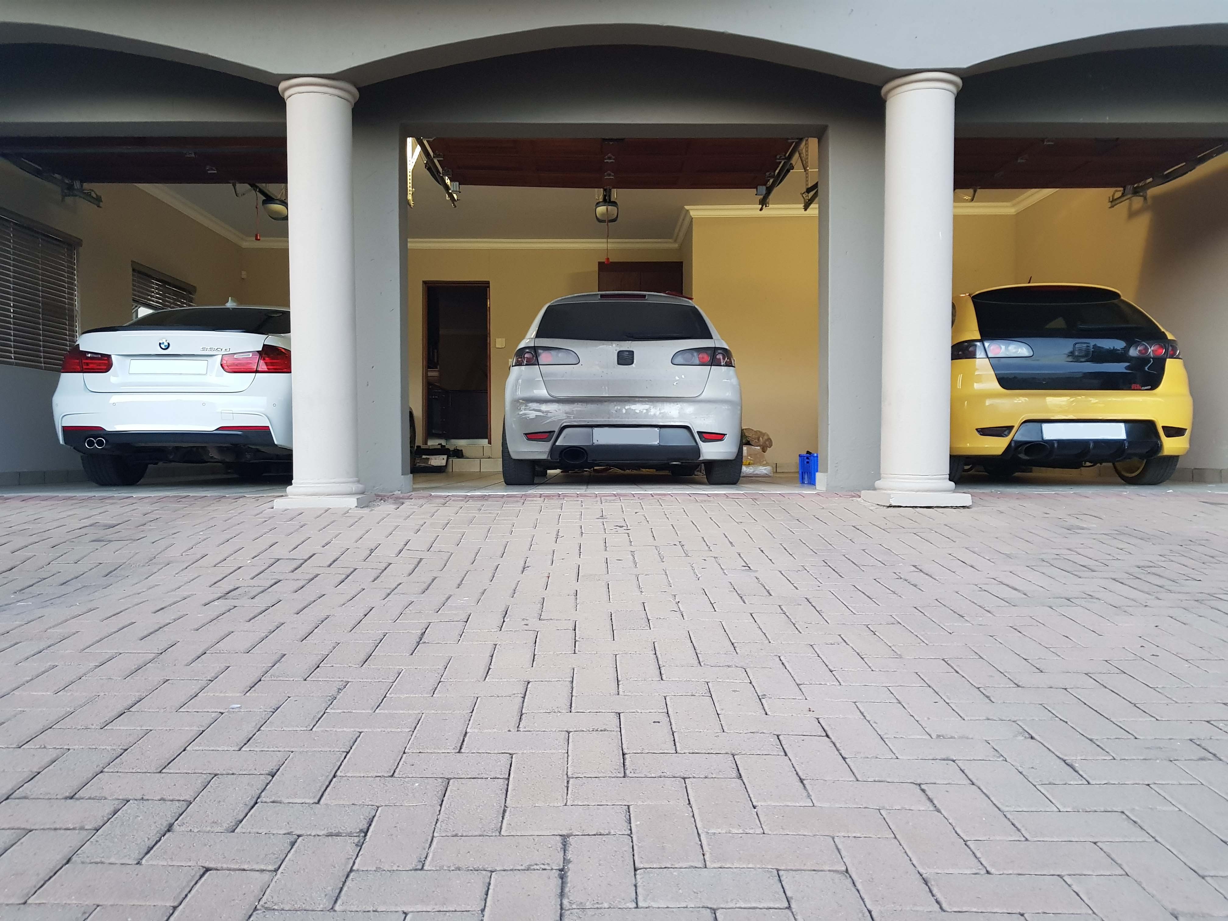 the beasts and the fairy_5022550197.jpg
