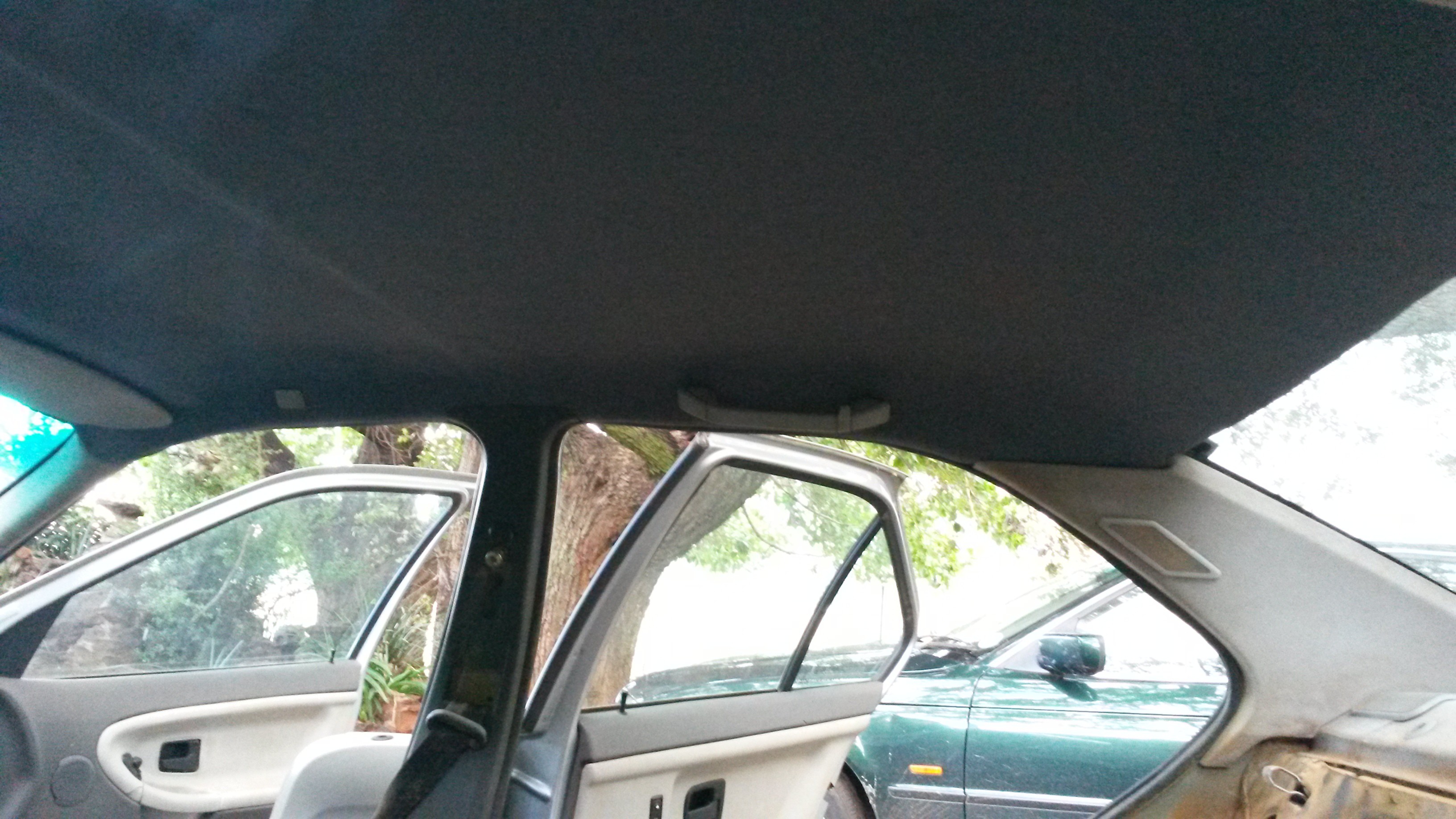 image_8166276081.jpeg