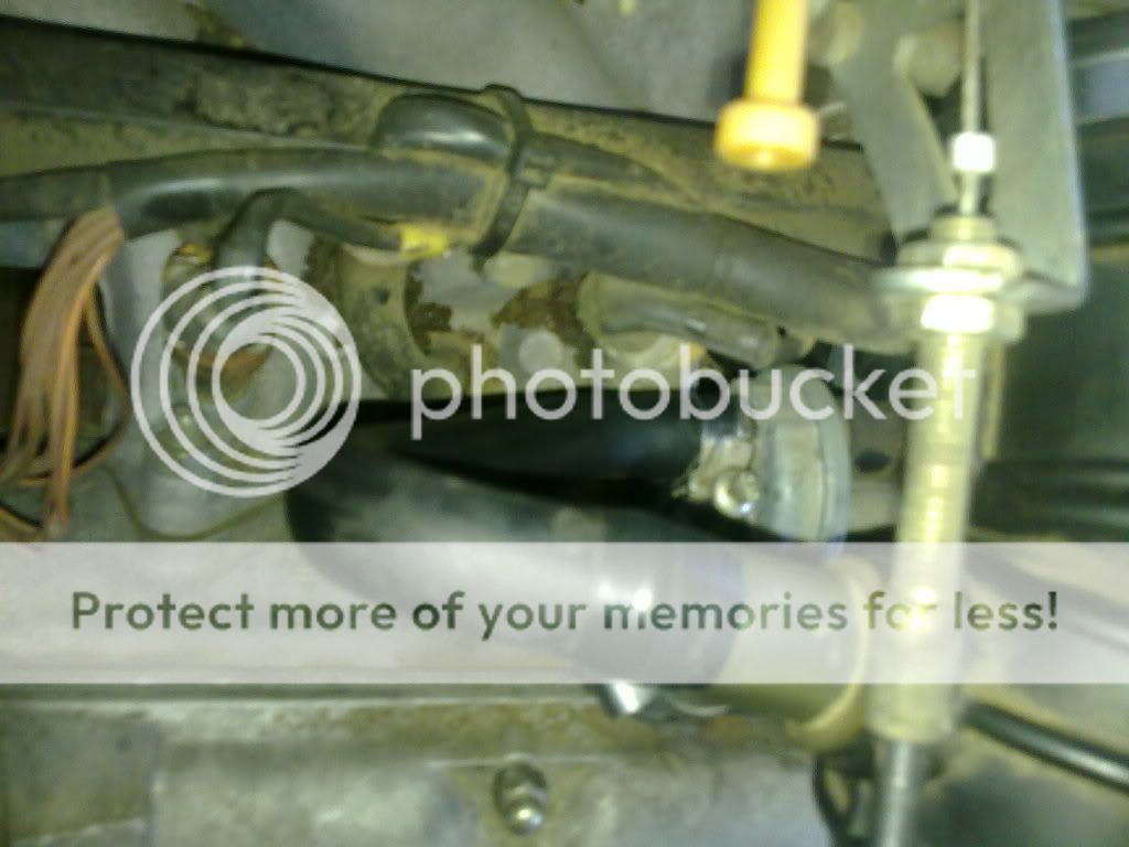 07092010072.jpg