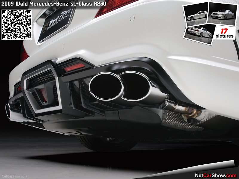 Wald-Mercedes-Benz_SL-Class_R230_2009_1600x1200_wallpaper_11.jpg